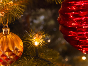 Świąteczno – Noworoczne spotkanie członków i przyjaciół Europejskiego Klubu Biznesu Polska.